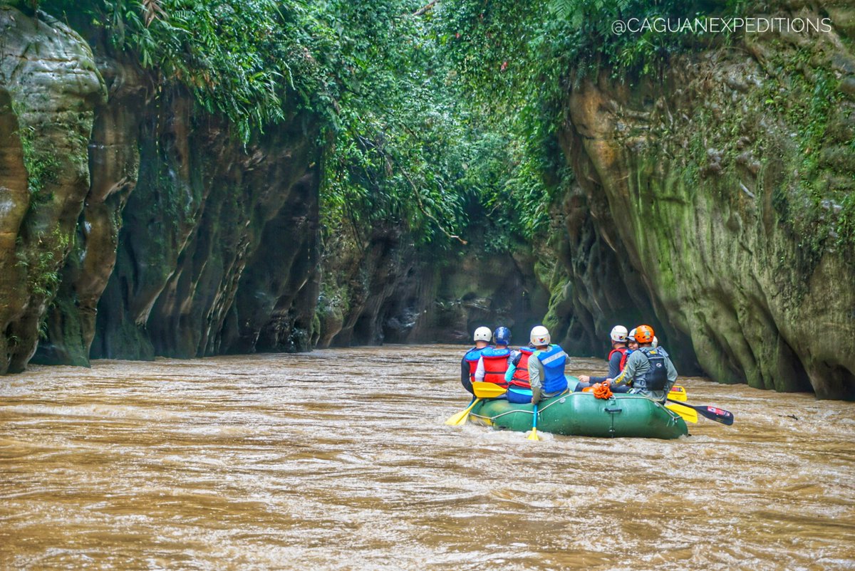 Caqueta_Travel's tweet photo. #Caquetá 🦋🐒🦎🐍🌿🍃🍂🐝🌳💦🚣🏼‍♀️🎣 ¡Donde el Oro es Verde!

Actividades:

#Rafting 🛶 y aventura 🧗🏻‍♀️ de memoria histórica 🇨🇴 🕊️ en el Cañón del Río 💦 Pato 🦆 y cuenca amazónica del Río 💦 Caguán.

#Trekking, #Torrentismo 🧗🏼‍♂️ y #Canyoning en La Avispa 🐝

#Glamping 🏕️ Casa Alpina ⛺ https://t.co/iMsz3GDdJP
