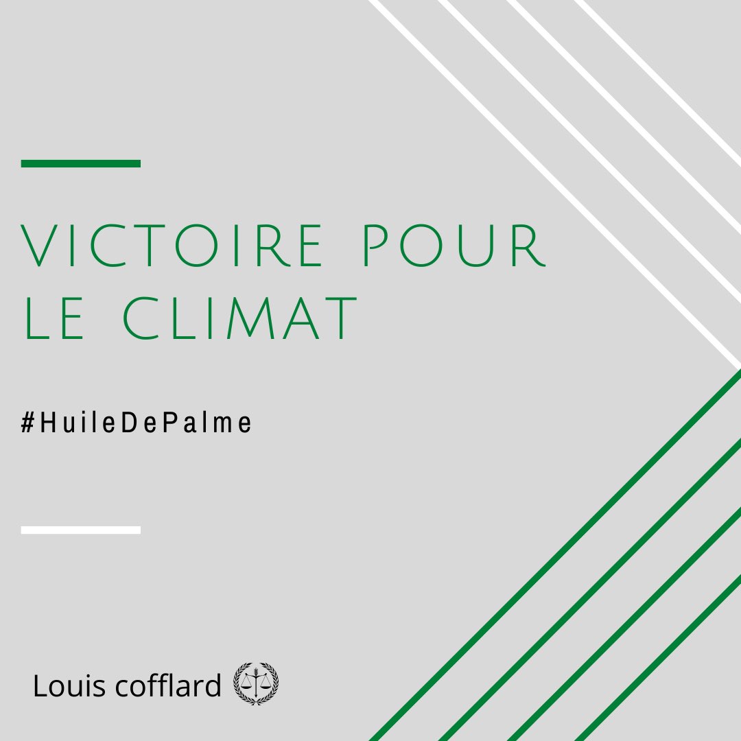 Louis cofflard tweet media