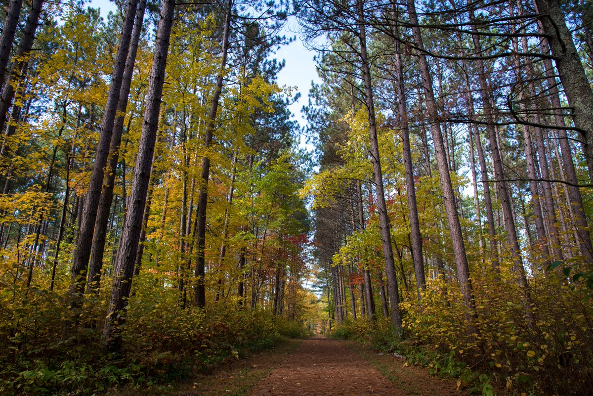 TheNIACS's tweet image. April is @AdaptationMonth! NIACS is committed to climate adaptation and dedicated to collaborating with stakeholders from across the land management community. See adaptation in action by visiting our demonstrations page: forestadaptation.org/adapt/demonstr…