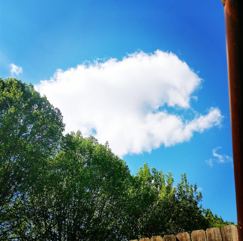 tinawgriffith's tweet photo. Just laying in my swing listening to @jannarden and pondering life in my podunk Tennessee town. #beautifulday #takingabreak #dementiacaregiver #lifeistoofast https://t.co/2Qt9FW1ixP
