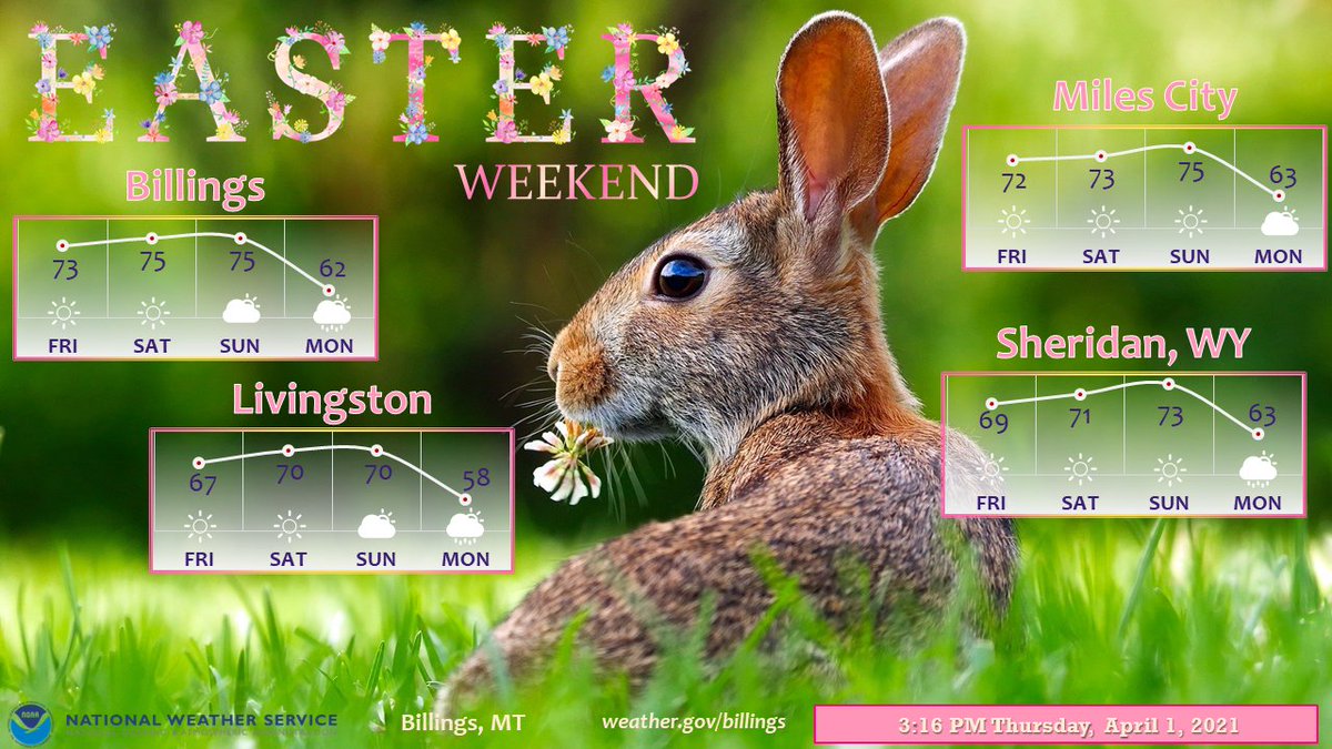NWSBillings's tweet photo. Easter weekend will be warm and dry across southeastern Montana. Get out and enjoy the sun ☀️
#mtwx #wywx #easter #easterforecast #easter https://t.co/fcCJw8Vx0B