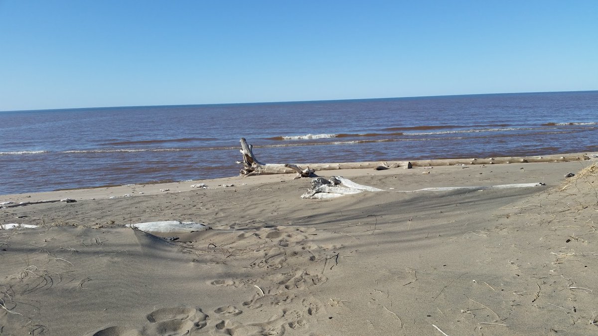 ljnovak2020's tweet photo. #ubsteps21 started today and it was the first time we were able to get out on the beach. Of course the joggers will always put me to shame, but I'm happy to get out of the house for a half hour. #lakesuperior https://t.co/QmrgSHnsrU