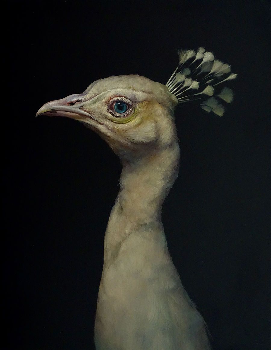 BeautifulBzarre's tweet image. EXHIBITION PREVIEW // Giorgiko &amp;amp; Brad Woodfin Exhibitions @ThinkspaceArt 
&amp;gt;&amp;gt; beautifulbizarre.net/2021/04/01/gio…
...
#beautifulbizarre #thinkspaceprojects #artshow #animalart #realism #surrealism #figurativeart #painting #surrealart #popsurrealism #newcontemporaryart #Giorgiko #bradwoodfin