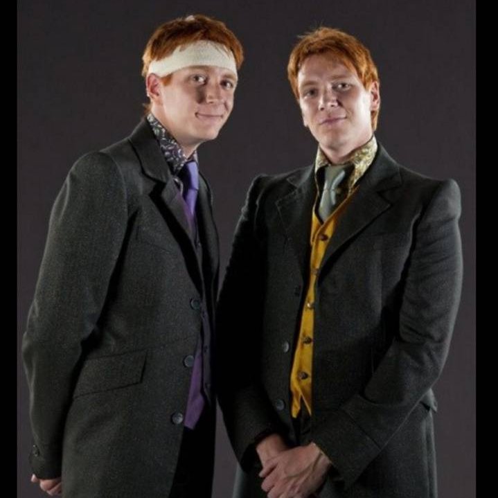 George Weasley cumple hoy 43 años, lo que me hizo dar cuenta que más de la mitad de su vida ya la vivió sin Fred 😢