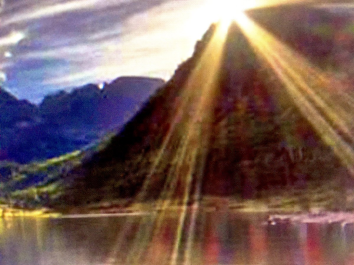 RitaMcDougald6's tweet photo. Don’t let anyone hold you back, you were meant to SHINE! https://t.co/LztbTclpFS