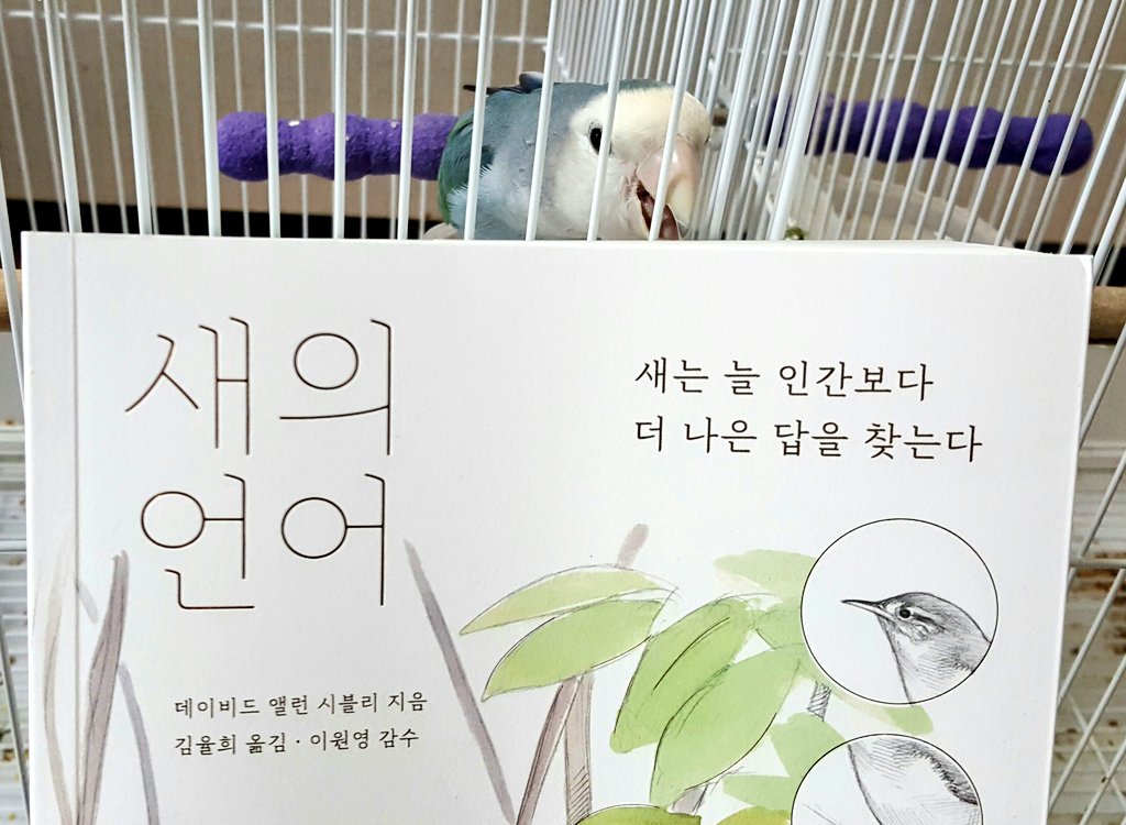 간만에 독서를 할 겁니다.
우측 상단의 도전적인 문구가 상당히 취향입니다. 책 뒤의 저놈이 정말로 평소에 저보다 나은 답을 찾곤 하는지, 그 이전에 저 뻑킹 쿨톤버드에게 과연 답이란 게 있기는 한지 등을 직접 알아보겠습니다.