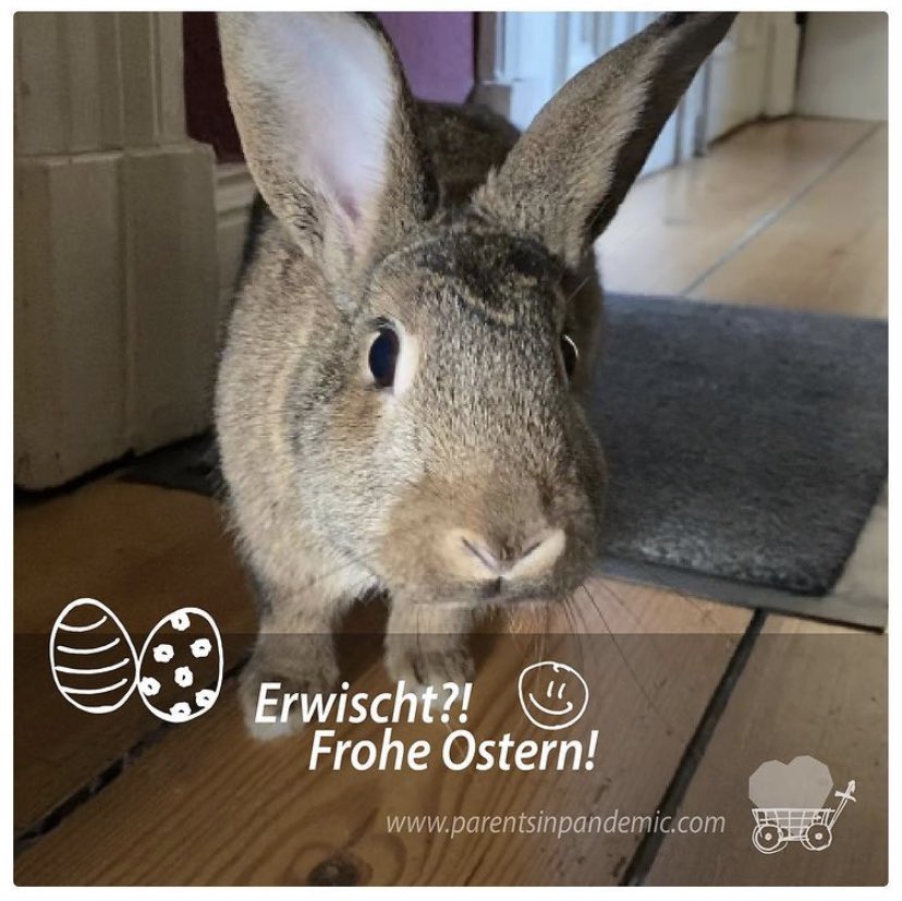 parentsinpanic's tweet photo. Erwischt! 🐰💝

Team PiP sagt: Frohe Ostern! 💫

#zuhause #home #parentsinpanic #teampip #teamwork #spirit #creative #love #help #future #kids #family #heartfulness #familyhelp #homeoffice #spring #ostern #easter #eastereggs #rabbit #bunny #photography #positivethinking https://t.co/6TcPWyrzh7