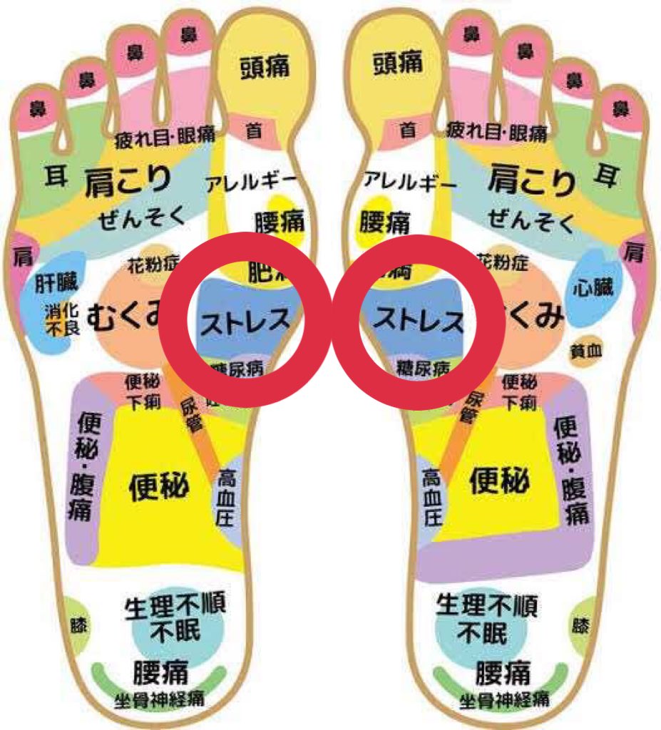 ぱ さんが来たぞ ここ押すとめちゃ痛いわけなんですよねぇ