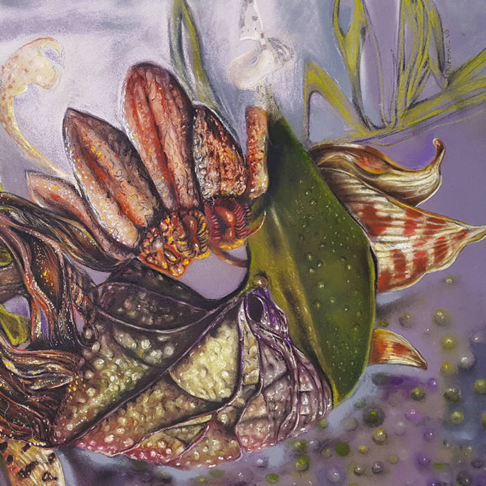 violin : Anzu Suhara <a href="/apriponz/">須原杏 / アンズ violin</a> 
Cover work : Saskia Griepink <a href="/SaskiaGriepink/">Saskia Griepink</a>