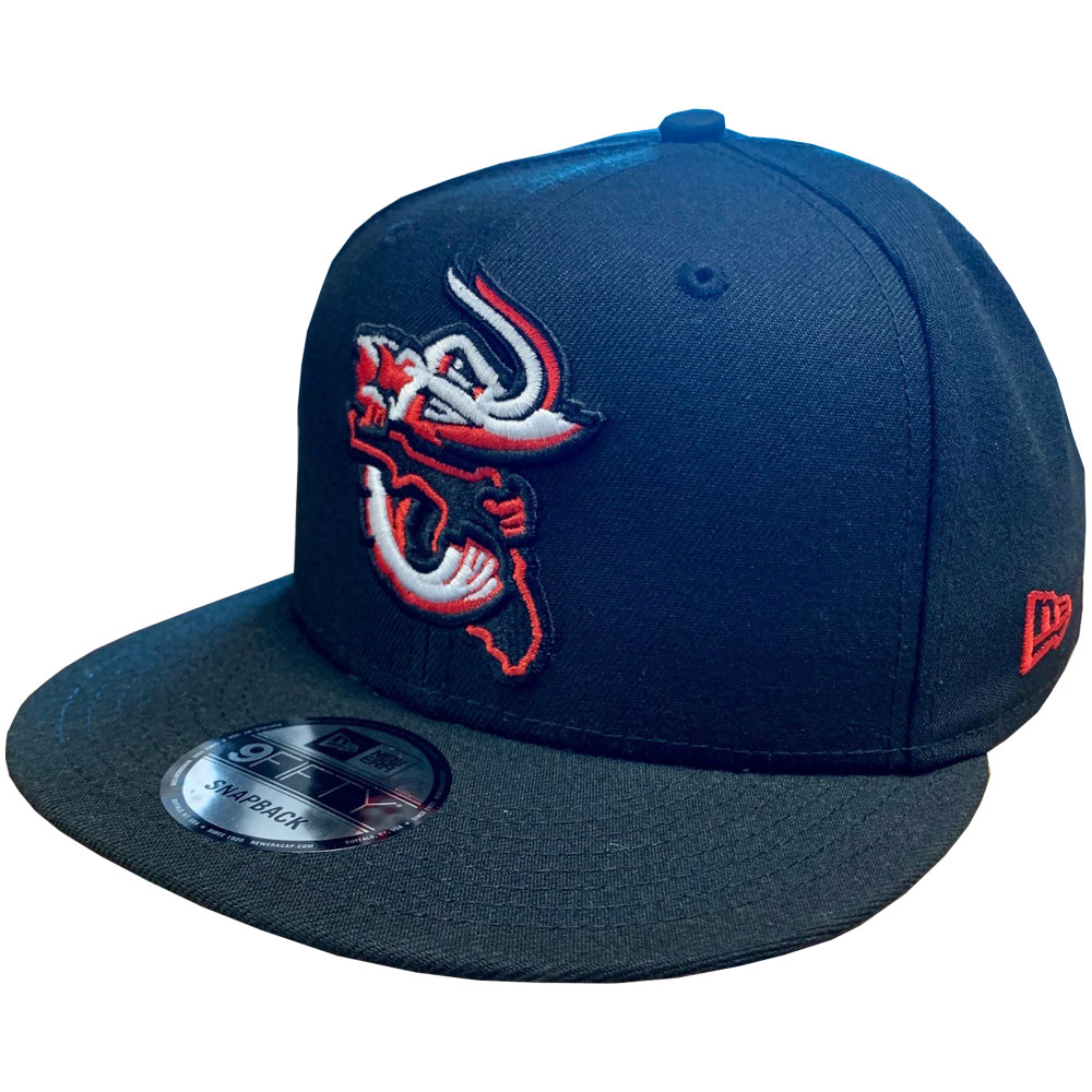JaxShrimp's tweet photo. psst..we'll go over them in more detail tomorrow but for all of you insomniacs..we just dropped 6 new caps in the online store. https://t.co/uFViYXi4i4 https://t.co/kHFk6vHspP