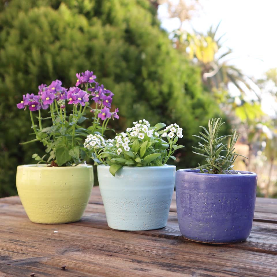 三浦半島の風工房 陶のガーデニングポット作り体験 風工房 三浦 T Co Vxdyec7qwy T Co Hveokqtbyo Twitter