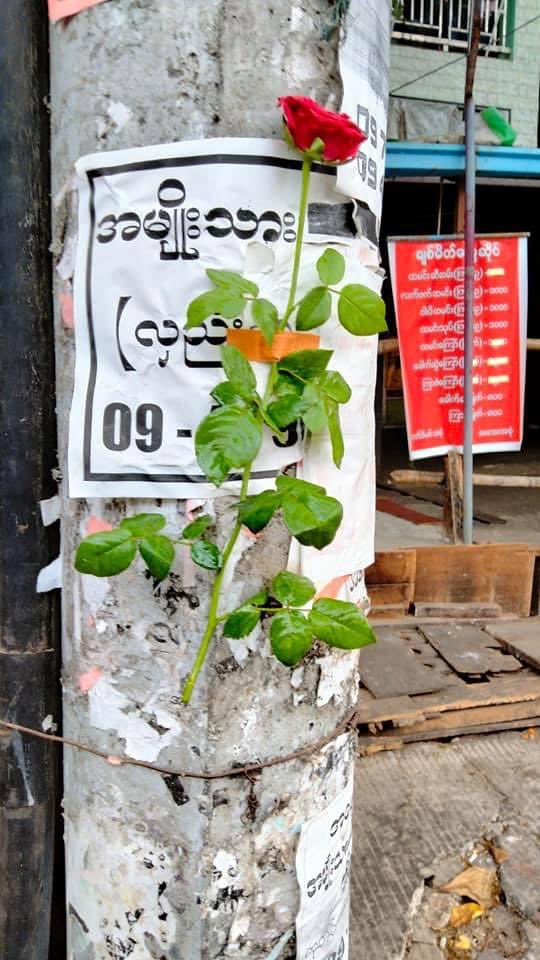 We put flowers at every bus stop to show that we miss our late heroes. Their names and dignities are remained in our hearts. We wander around the bus stops with sorrow &amp; flowers to lay on the benches. 
#FlowerStrikeMyanmar
#WhatsHappeningInMyanmar #Apr2Coup