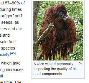 Wikipedia but nothing, never, not anymore (@wikiooc) on Twitter photo 