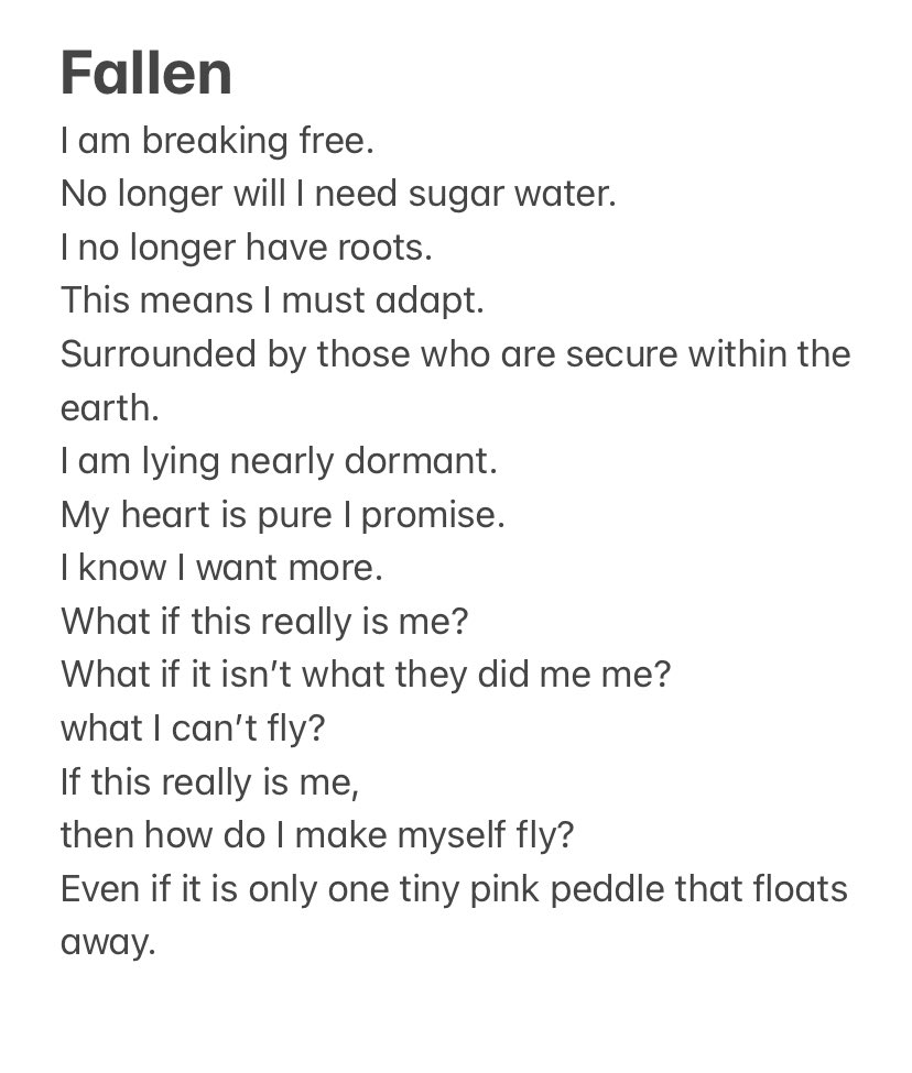 Emily_ThePoet's tweet photo. Is time to break free from whatever is holding you back! This is for all my little bird, it’s your turn to fly. Welcome to the family.💜#poetry #poetrycommunity #poetryporn #poetrylover #positivevibes #poemoftheday #poemsdaily #poemporn #positivevibes #positivity #spilledink #fyp https://t.co/YfwGKl1i2e