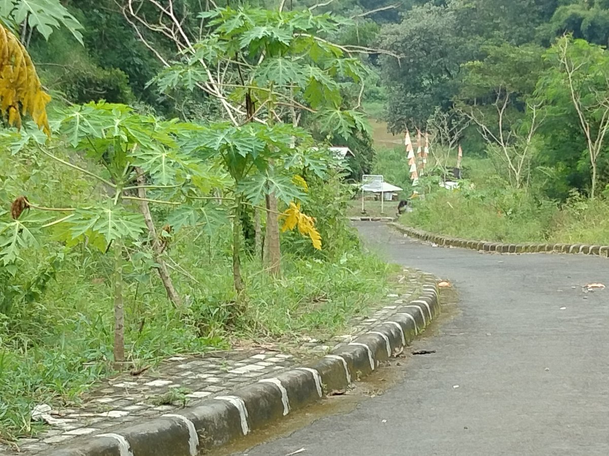 NazSubardjo's tweet photo. Ngeri tdk ada yg peduli https://t.co/JKdjrkjEgA
