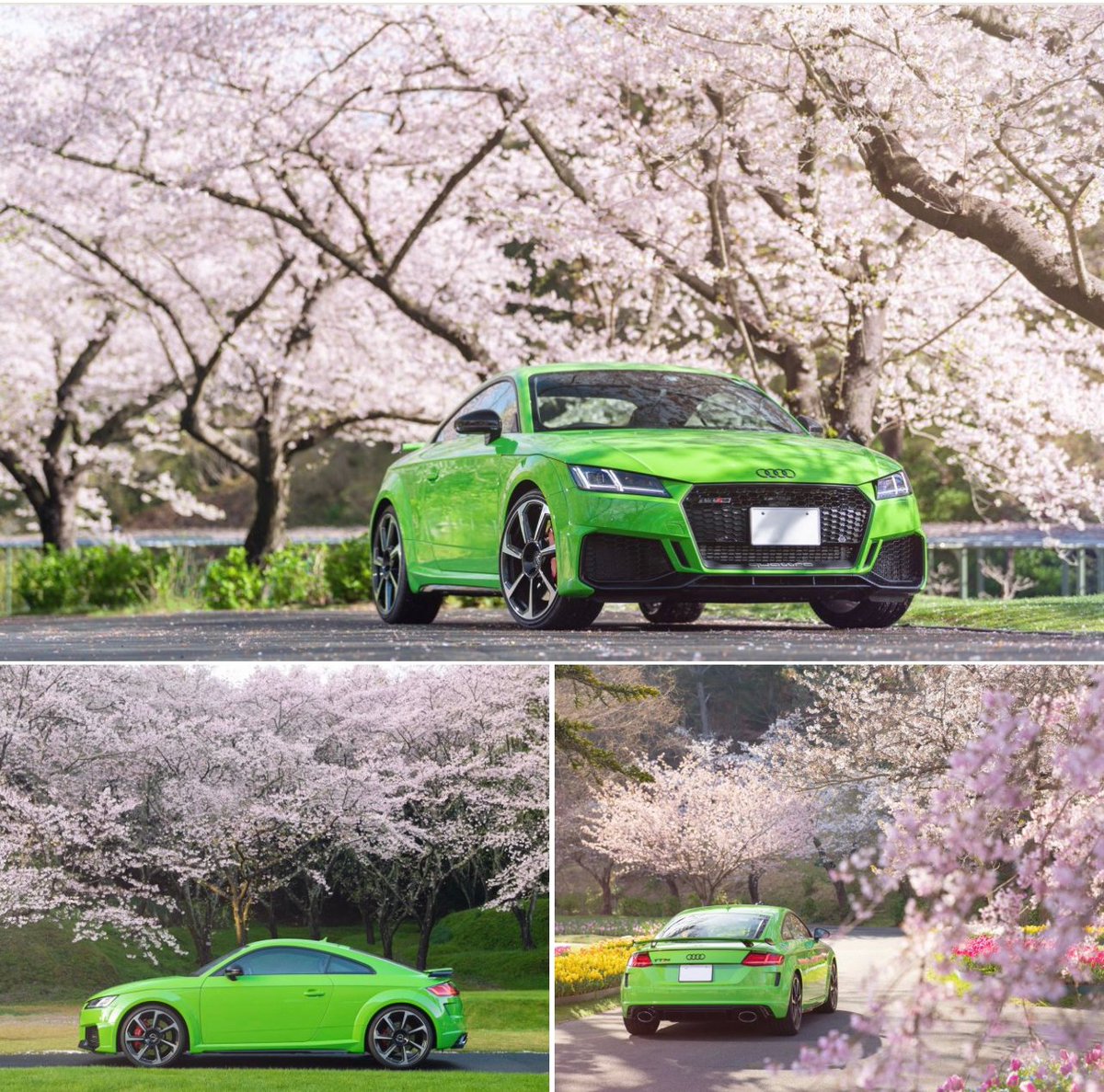 AudiBurlington's tweet photo. #spring #ttrs #audi #Quattro #audigram https://t.co/Ii3gwwr1ls