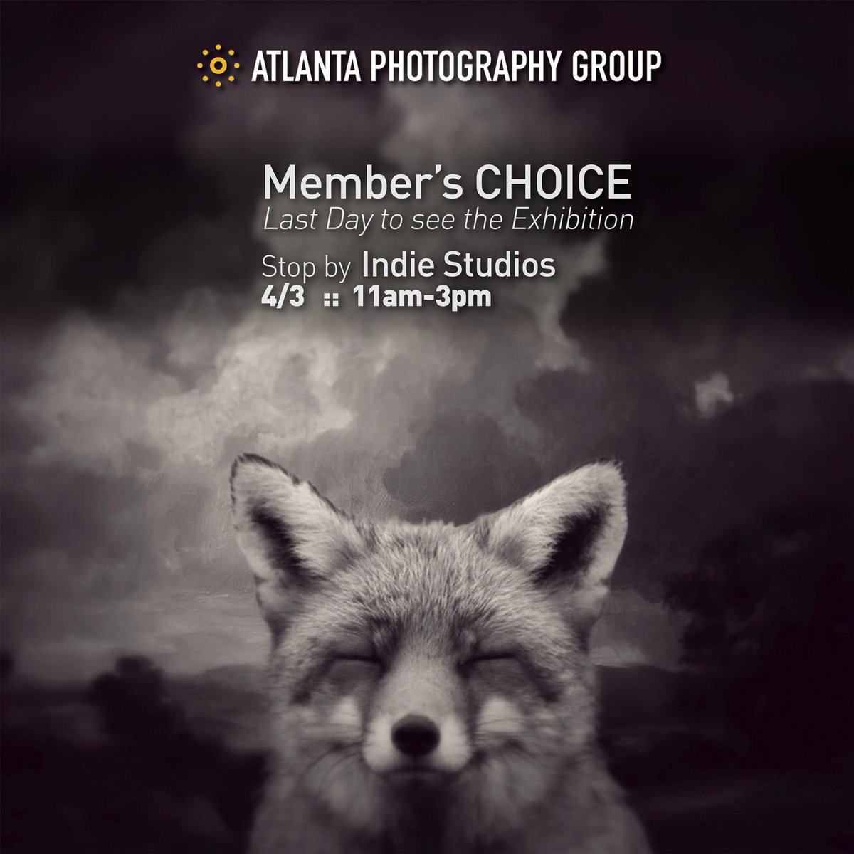 Last Day to see this fabulous exhibition in person - APRIL 3
Gallery open Saturday ::  11am-3pm - see some art, buy some art

INDIE STUDIOS @indiebecomesyou
190 Ottley Drive NE, Atlanta, GA 30324

Link in profile or visit the website for more info:
atlantaphotographygroup.org