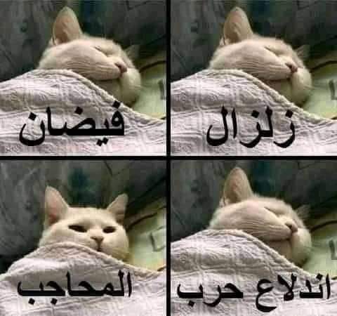 انا👇👌😎