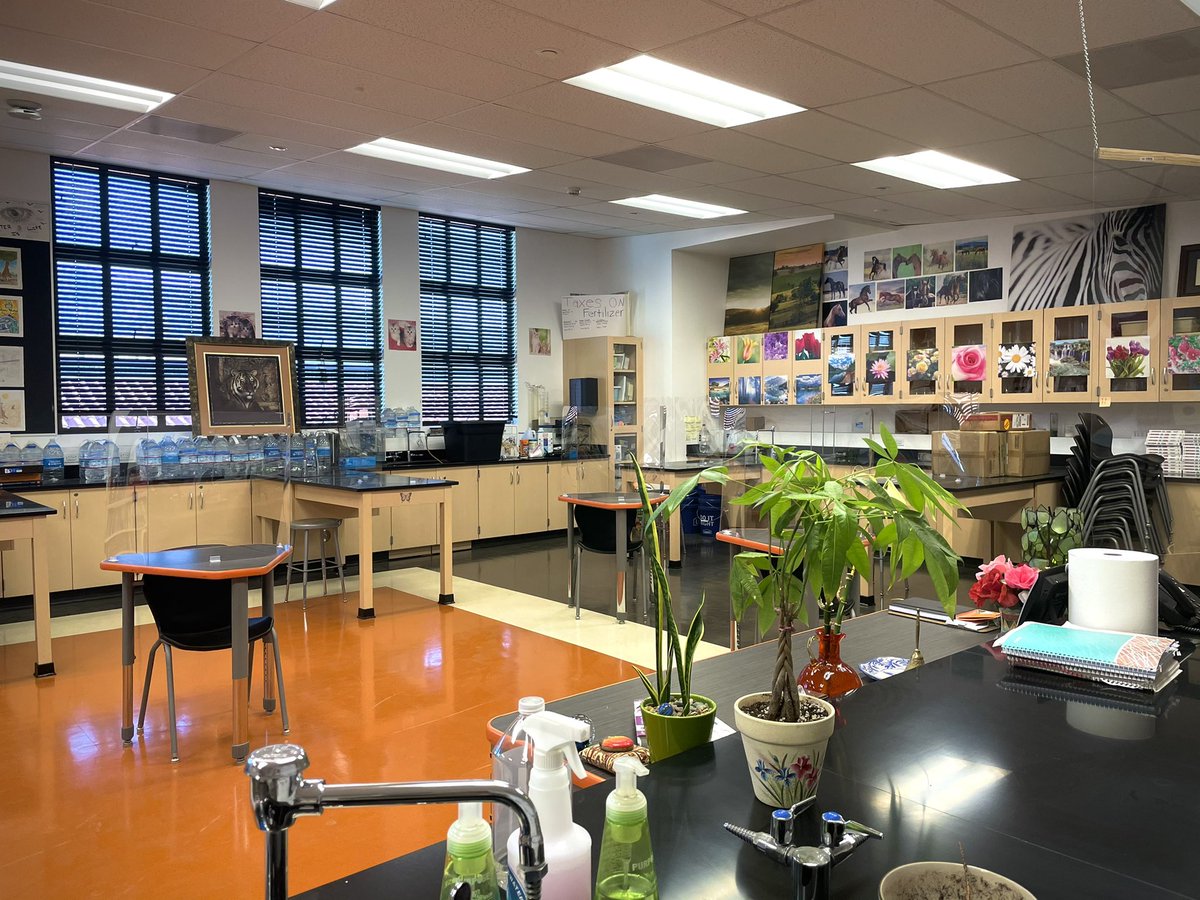 CHSAdamsAtoms's tweet photo. The Importance of Smaller Steps โ๏ธ๐๐ฝ๐ฆ Gave students a virtual tour of โtheir/ourโ classroom. One said: โMs. Adams, thank you. Now I know youโre the real deal.โ ๐ #GrowCreate #DonutPeachBlossoms #SpringRebirth https://t.co/hZB95rem0K