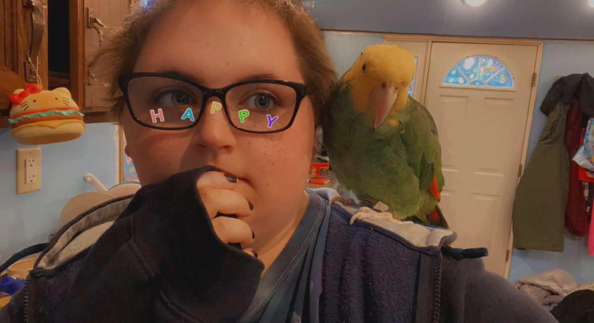 kawaiigorgon's tweet photo. Did a hour of dishes with my favorite boy to keep me company 🥰🥰🥰 #yellowheadedamazon #birds #parrot #littlebuddy #lovehim https://t.co/go4pI0ERJs