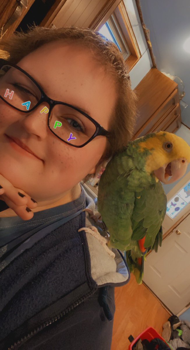 kawaiigorgon's tweet photo. Did a hour of dishes with my favorite boy to keep me company 🥰🥰🥰 #yellowheadedamazon #birds #parrot #littlebuddy #lovehim https://t.co/go4pI0ERJs
