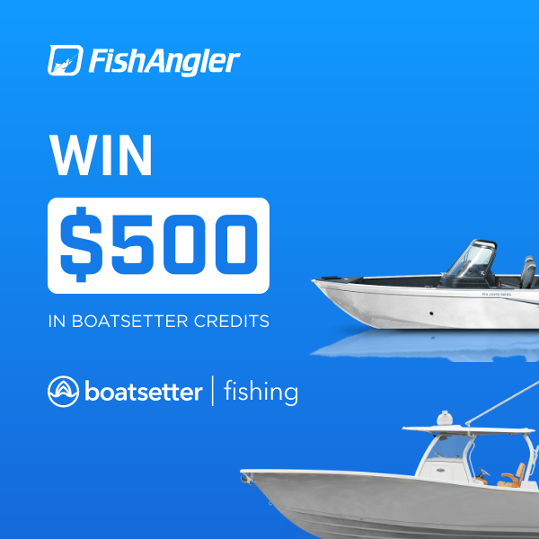 boatsetterfish's tweet photo. April giveaway announcement! 🚨🚨🚨🛥🎣
#fishing #fishingcharters #fishingboats #boatsetter #fishangler
Entry details in thread 👇 https://t.co/UpGahHHtSm