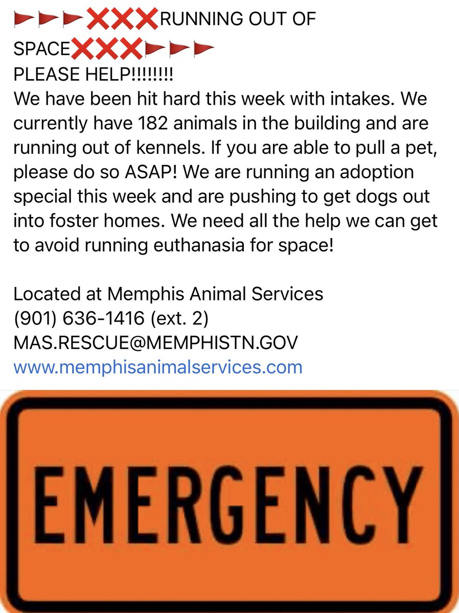 reddogsusie's tweet photo. #TN #MEMPHIS
🆘🆘RUNNING OUT OF SPACE
Memphis Animal Services are appealing for help. With 182 animals in the building, they are asking for foster/adoption &amp; rescue help - no one wants to see euthanasia being run to make space for new arrivals! Pls help if you can! #Tennessee https://t.co/w5DCqVCw4b