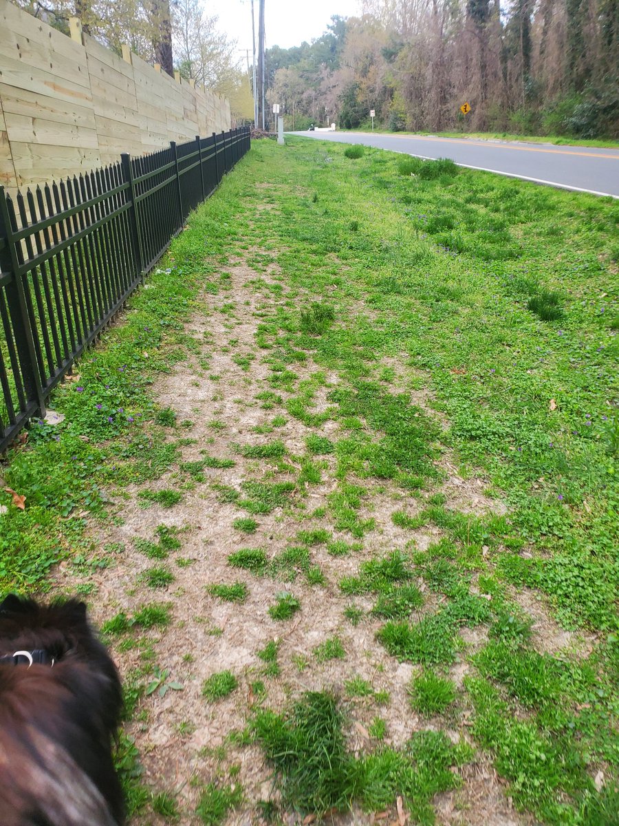 Demand paths are real, ya? Sooo anyone want to guess what governing body is the decision-maker is for this one?