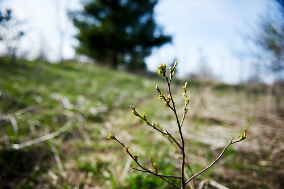 Ontario Parks tweet media