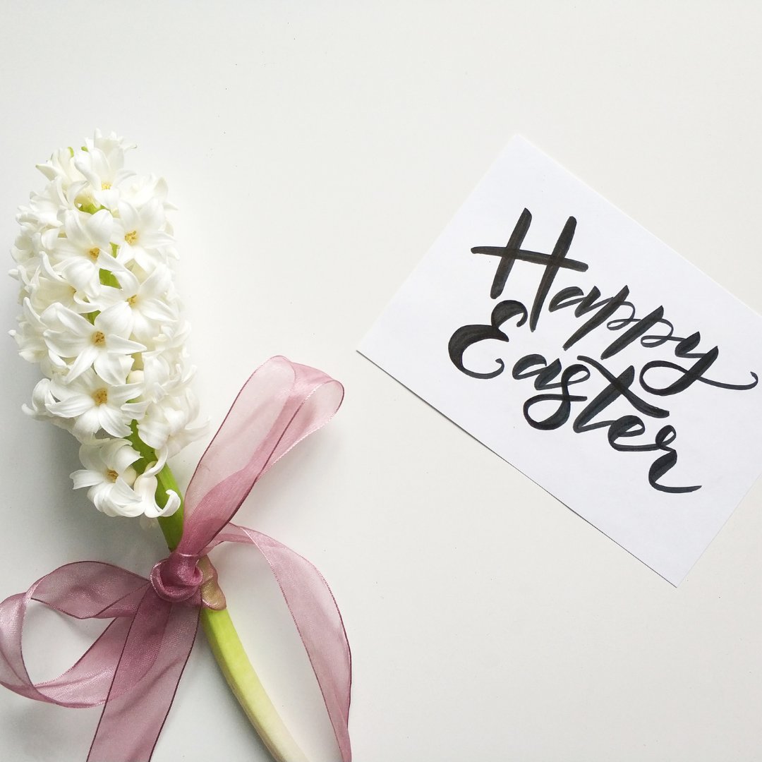 BbyServices's tweet image. Have a Happy Easter Weekened from all of us at Burnaby Community Services! 

Our offices will be closed April 2 to April 5, and will be back on April 6.

#bbyservices #happyeaster #burnaby