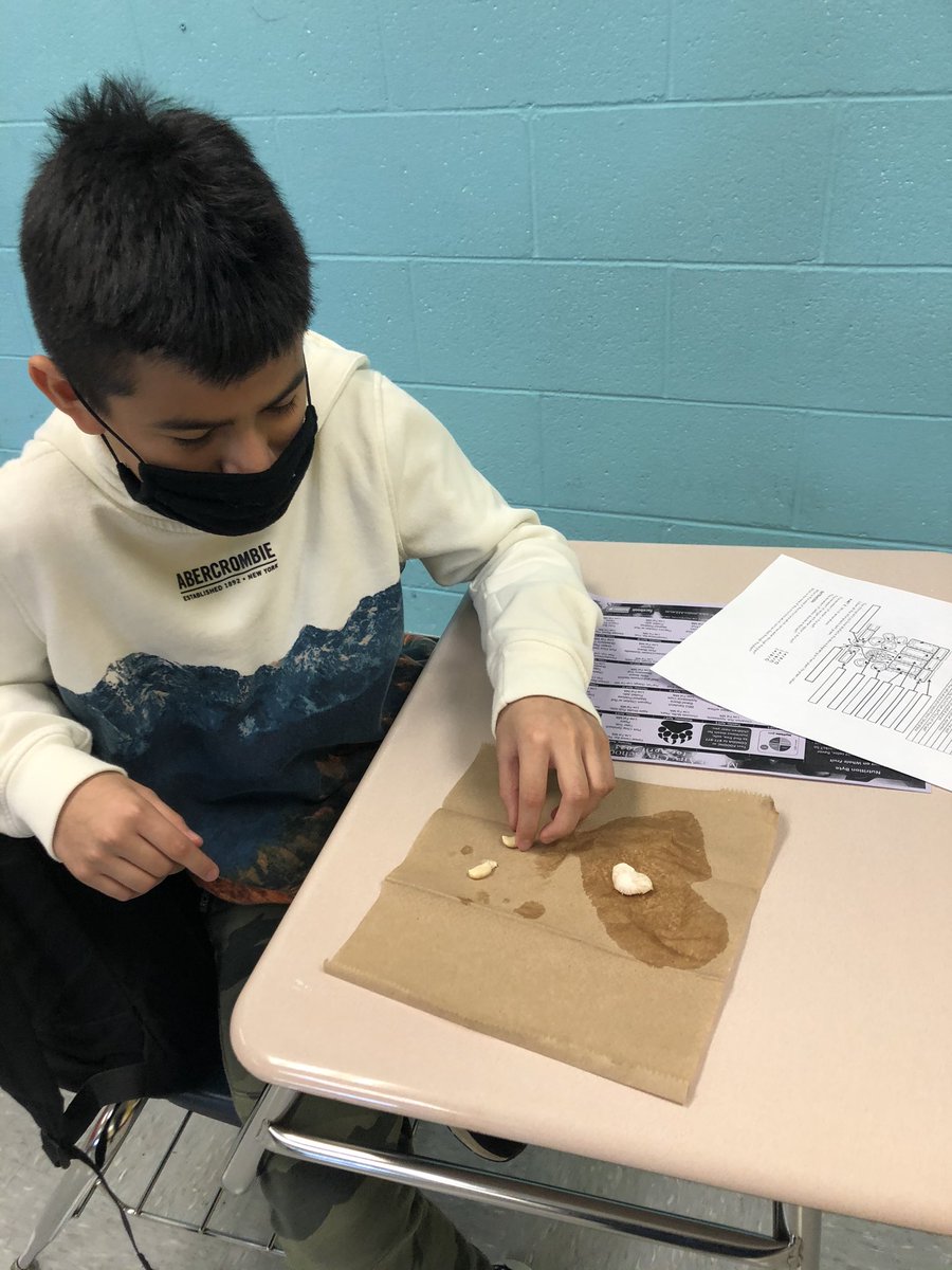 kcbrintle's tweet photo. MAMS 6th grade science students dissect monocot &amp; dicot seeds to learn more about photosynthesis and where our food comes from🌱 @Levi_Goins @NorySantillan @MACSchools @NuggetsOnMars @AgClassroom @NCFarmBureau https://t.co/eaAkO1Zr7Y