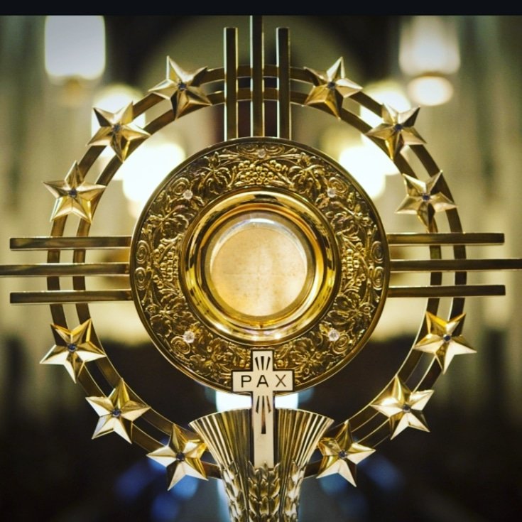 “Our Lord is hidden in the Blessed Sacrament, waiting for us to come and visit Him.”
~St. John Vianney #catholicchurch #lent
