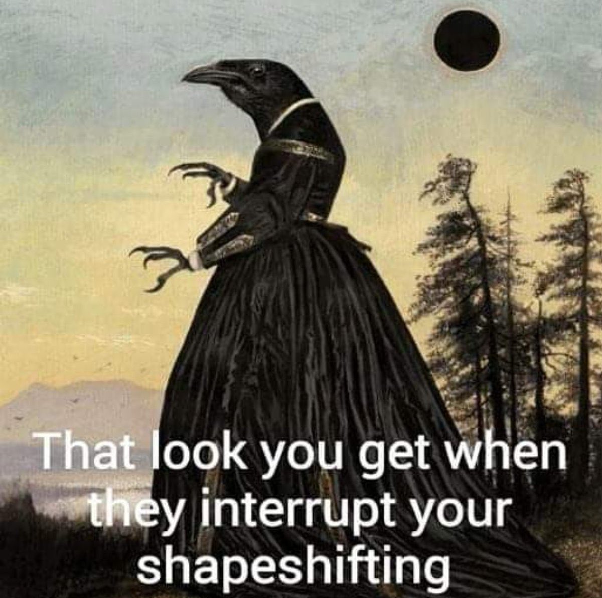 Dr Rachel Claire Morris 🏴🇨🇦🇪🇺 tweet media