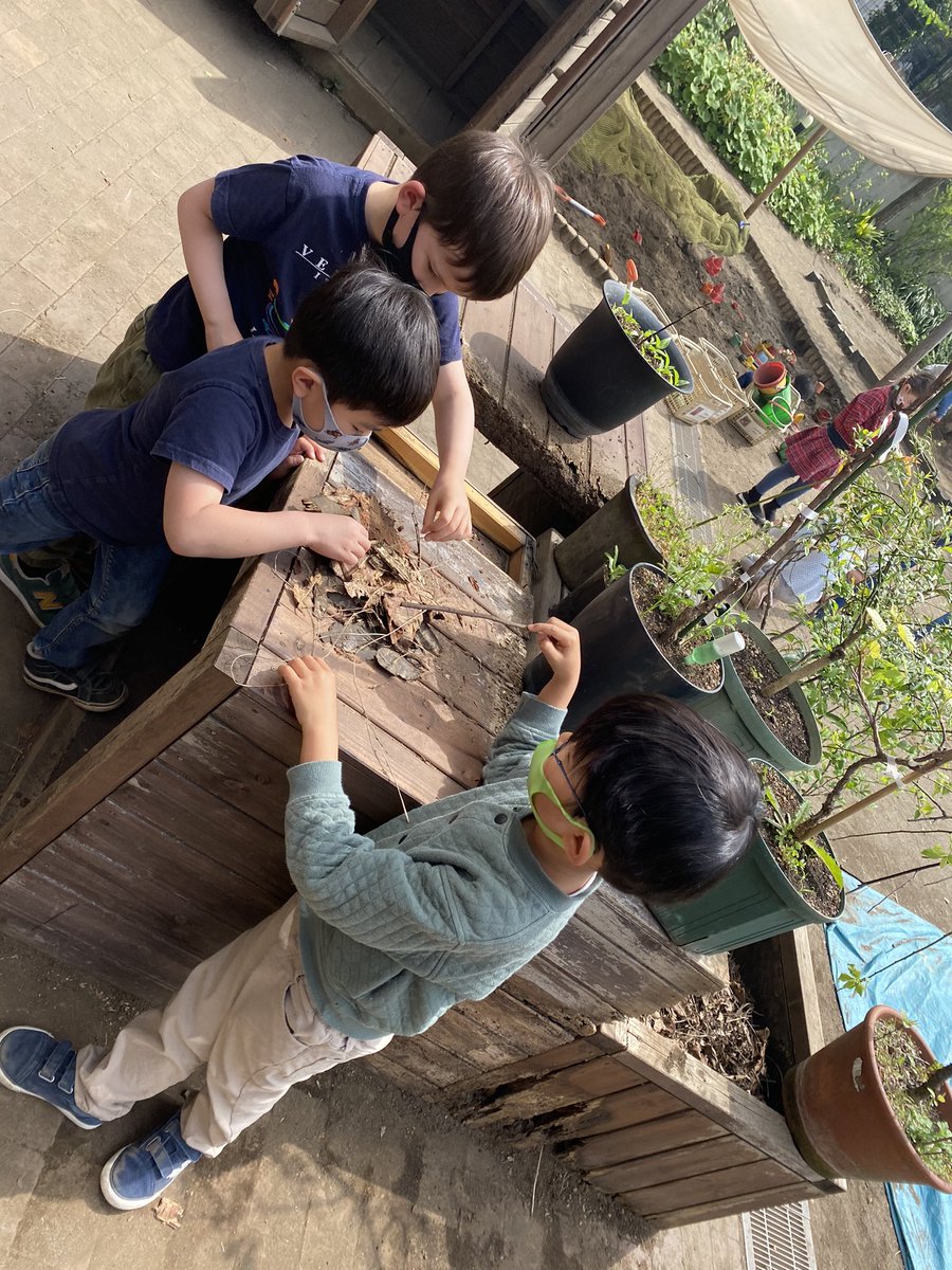 MSTokyoHazel's tweet photo. Building a home for a Roly Poly! #mstHazel #WeAreMST #MSTSunshine #MSTTeamwork #nature https://t.co/ukPxRsQOgL