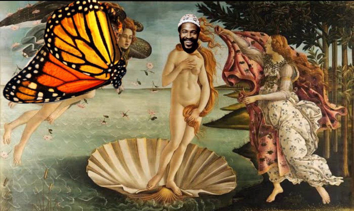 QUAL É O FIO QUE LIGA MARVIN GAYE, AFRODITE E BORBOLETAS PEREGRINAS?