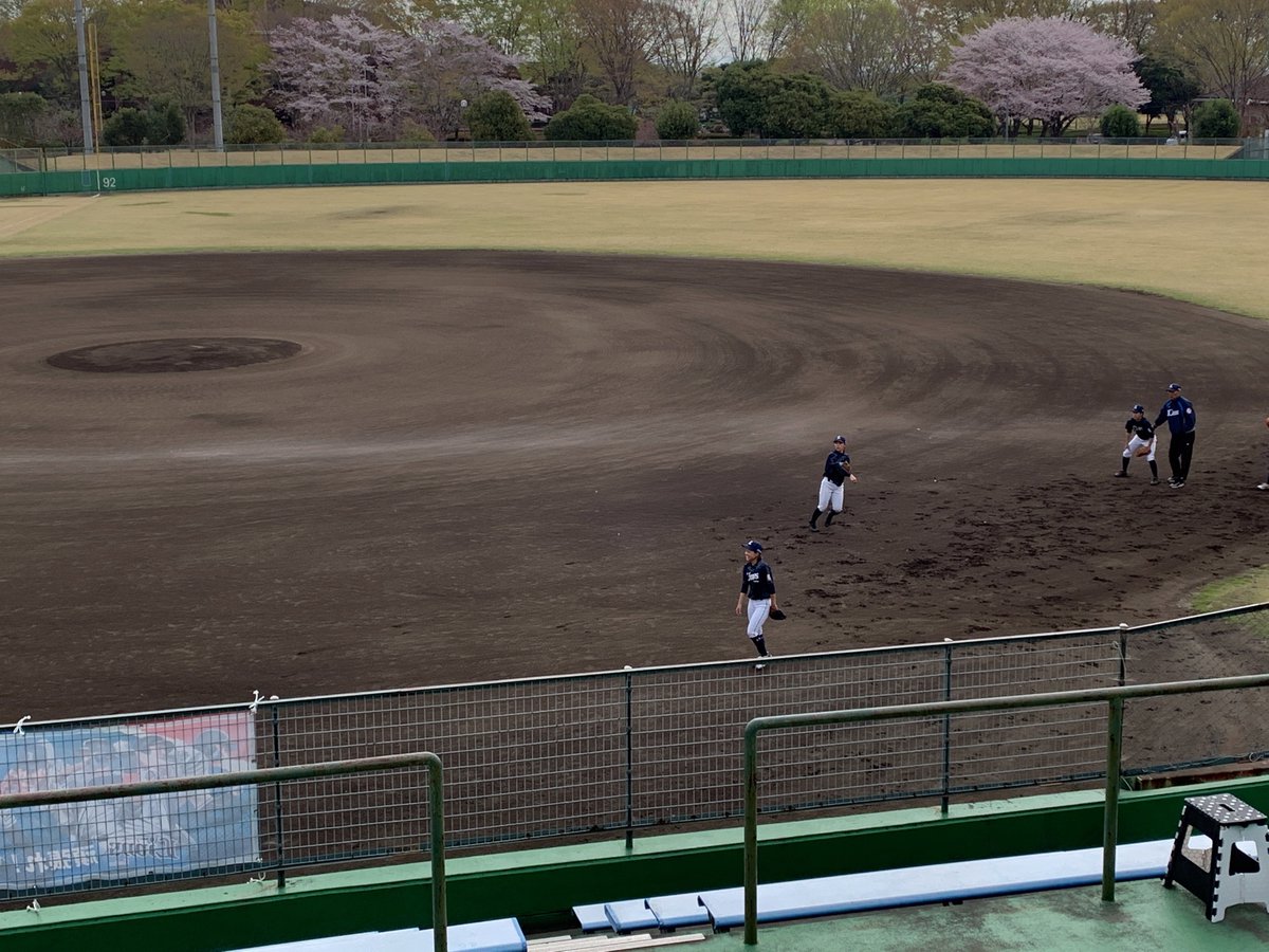 takao73120146's tweet photo. がんばれライオンズレディース🦁
#拡がれ女子野球
#sslions ladies https://t.co/b7AVx1HOkL