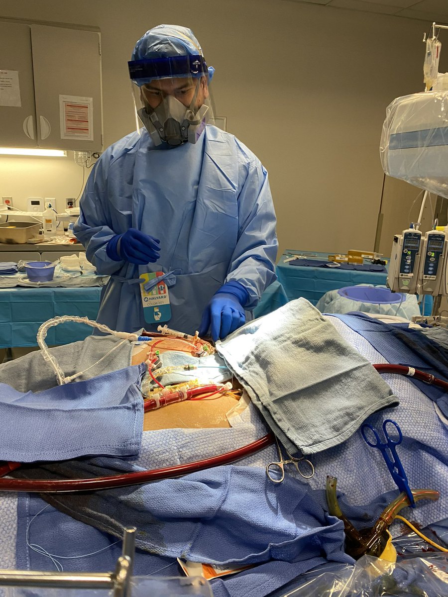 Amir Kaki, MD tweet media