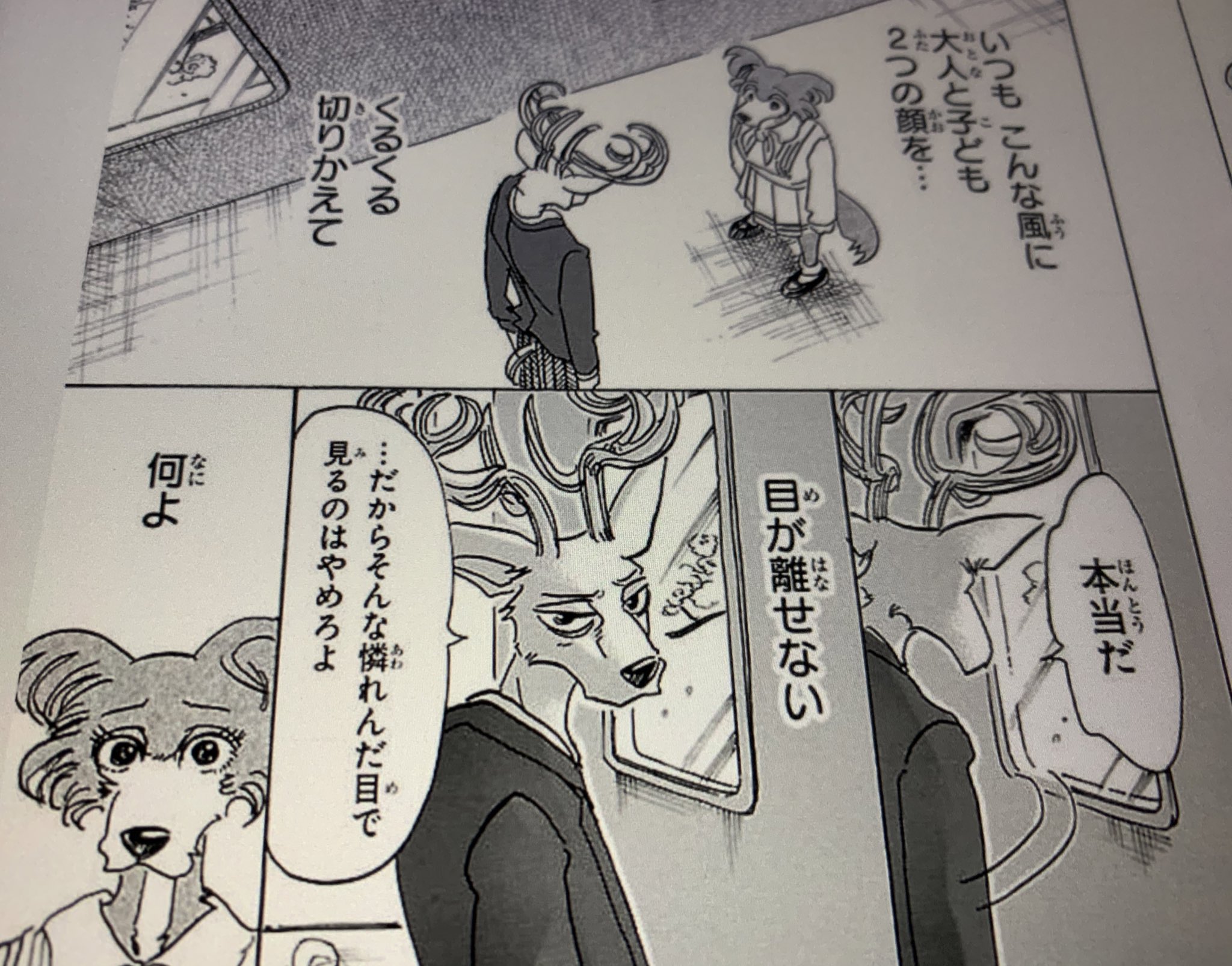 ビー スターズ ジュノ ルイ