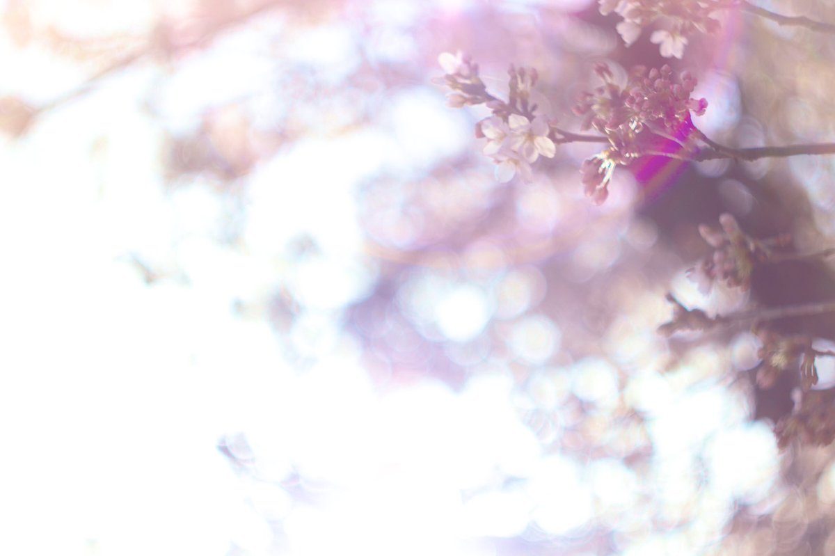 自分への誕プレ بحث في تويتر