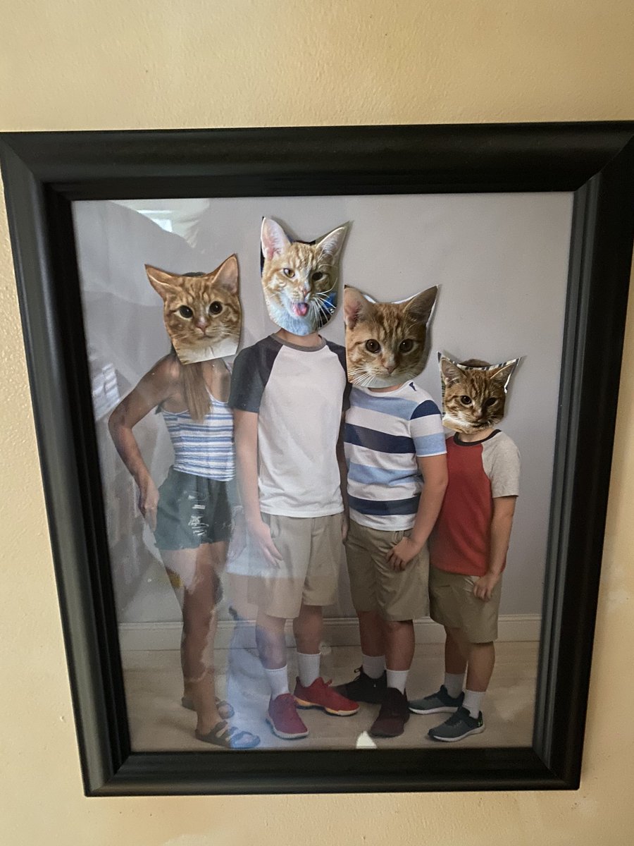AmyGoohsHard's tweet photo. #AprilFoolsDay #BadBert 😹#TherapyKitty #CoronaDiaries @KMHardman @matthewBhardman @alyssa_marie04 https://t.co/hiqA4u26uG