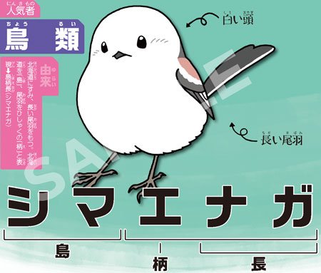 『わけあってこの名前 いきもの名前語源辞典』
https://t.co/0zCDYWuyfi

#国際子どもの本の日 #InternationalChildrensBookDay 