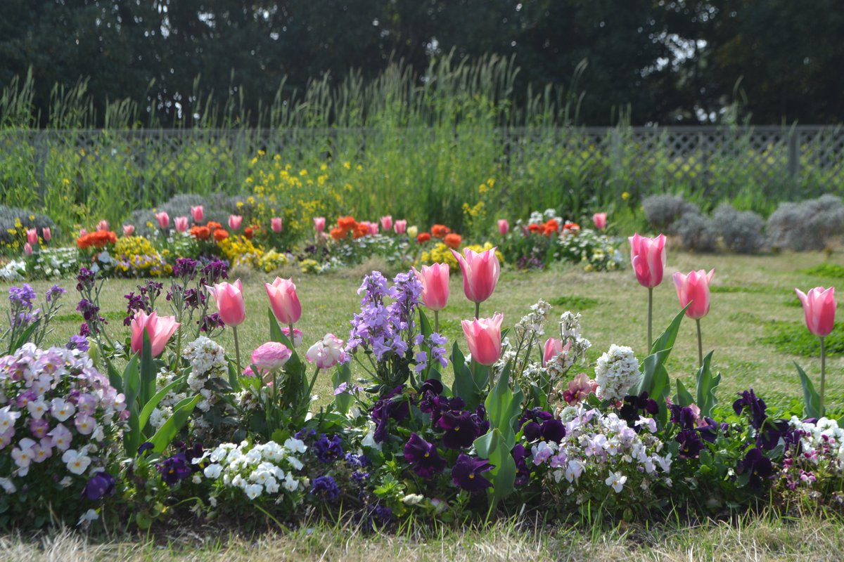 千葉市花の美術館 Sbp Smfm Twitter