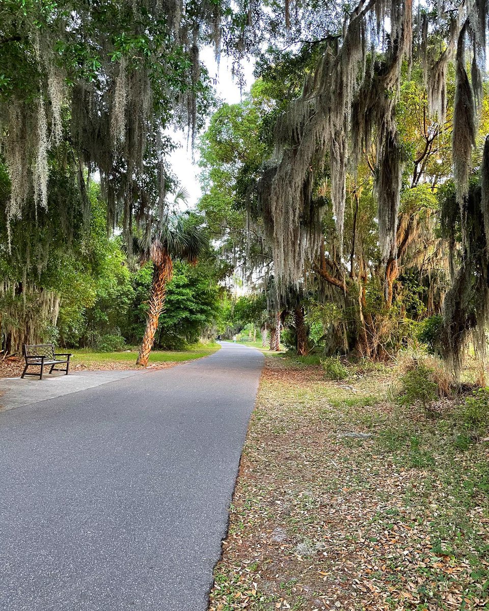 Jodicab22's tweet photo. I wish, with my entire being, that this weather would stay around. It’s so nice! Thankfully I got my a*s off the couch for a walk! 
.
.
.
#EveningWalk #FloridaStuff #FuneralForMyFat

📸 https://t.co/3H30pMSj11 via https://t.co/5ttQiDWlXB https://t.co/OSt8RTxl7t