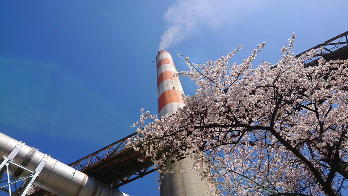 太平洋セメント大船渡工場