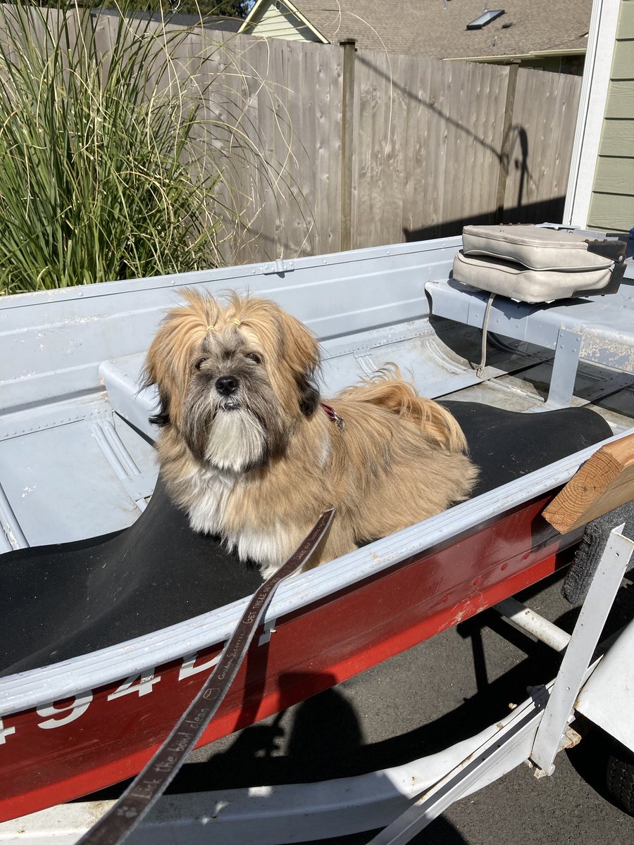 DataFLowe's tweet image. Somebody wants to know if it’s crabbing season yet.