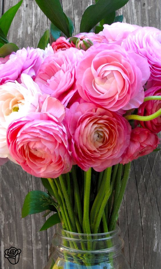 anitamariaAn's tweet photo. @babybondgirl @michaelbathurst @HaroldSinnott @markgo241 @HeinzVHoenen @AntonCountrySup @crystalmoon1ba @cjnapoet @JackConnie @randywhorton @eReferenceDesk @CarbonumJist @rootnk @software4iot @MarkQuinn_VO @TheFlutterDevs #NitePreciousCheryl #HappyNewMonthApril1* #AndEveryone https://t.co/5cQpZYenP0