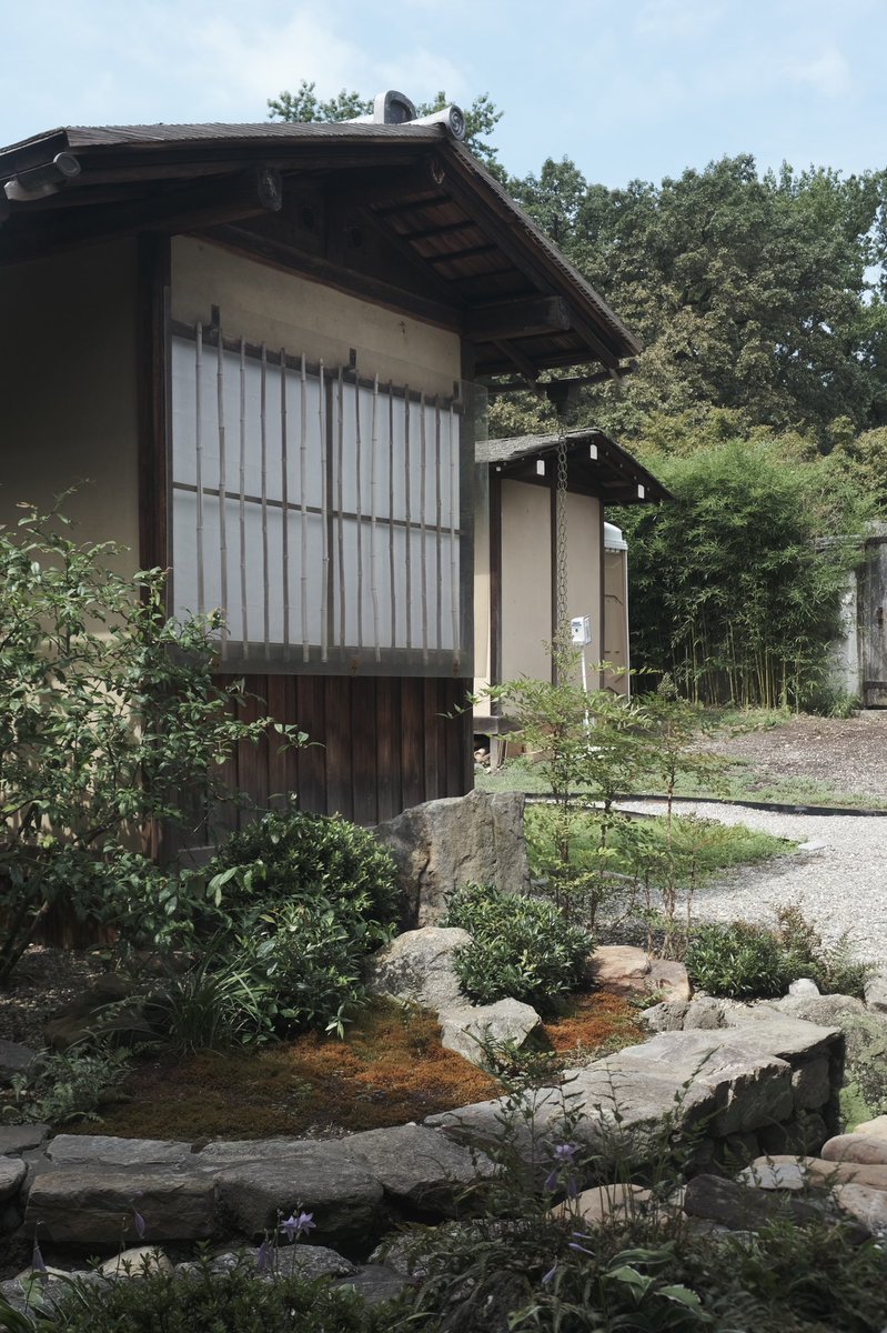 Lenny (they/them) tweet media