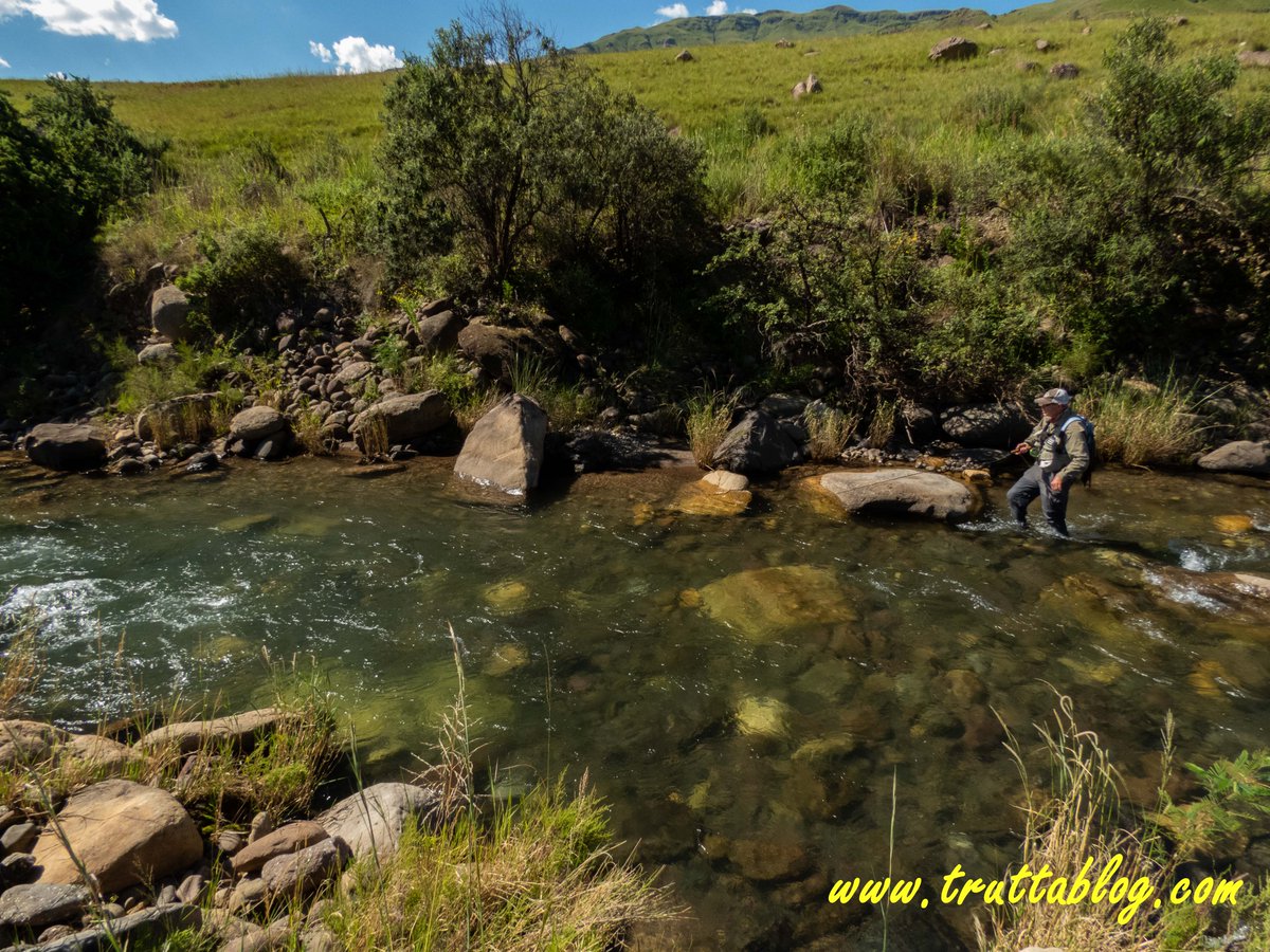Truttablog's tweet photo. Now that.....that is trout water!
#CleanWater #Trout #Flyfishing #Truttablog https://t.co/ar9JINMEJN