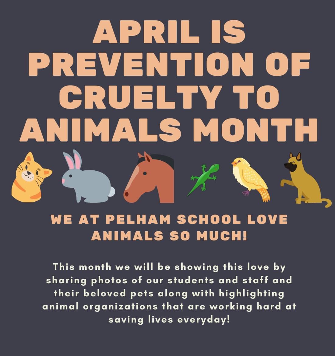 pelhampto's tweet photo. Obviously we want to showcase our pets that we love so much. Stay tuned this month for some sweet highlights! #preventionofcrueltytoanimalsmonth #loveyourpets #pelhampto https://t.co/StDRt93GAE