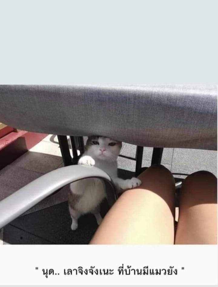 kohsija (@kohsija) on Twitter photo 